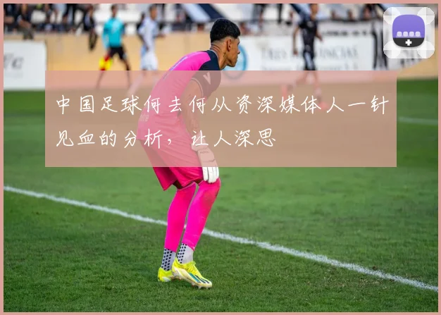 中国足球何去何从资深媒体人一针见血的分析，让人深思