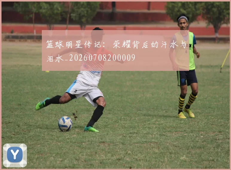 篮球明星传记：荣耀背后的汗水与泪水_20260708200009